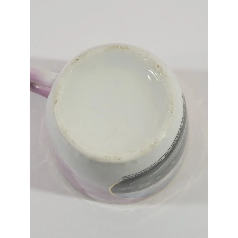 German Souveneir Cup Blick auf Herrnskretschen Gruss aus Schona Pink White Vtg